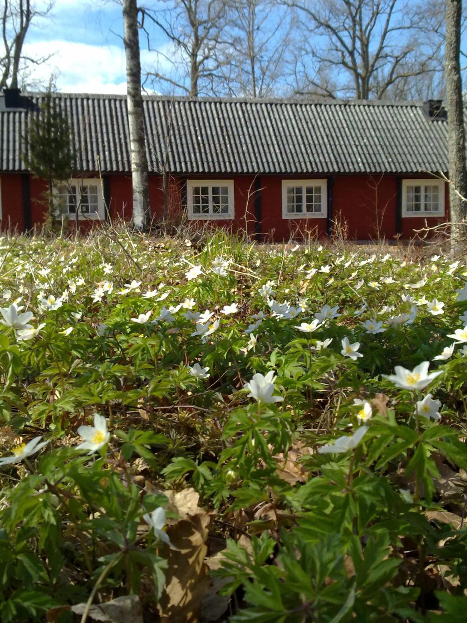 Stf Langasjoe Vandrarhem Eksteriør bilde